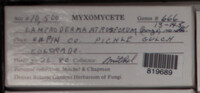 Image Associated With the Occurence